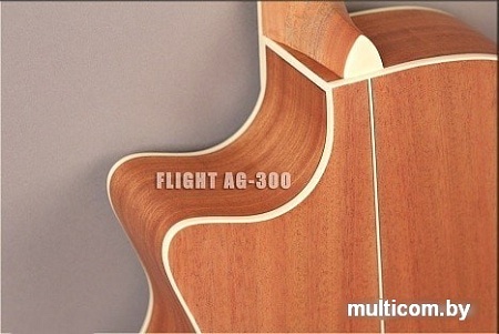 Акустическая гитара Flight AG-300C NS
