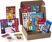 Набор развивающих игрушек Айрис-Пресс С IQ-играми для изучения английского языка 1 9785811278886