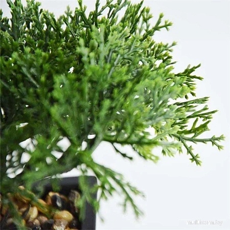 Искусственное растение Sundays Home 6405000739A