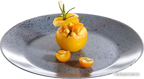 Тарелка обеденная Luminarc Slate 10V0115