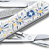 Мультитул Victorinox Classic Limited Edition 2021 Alpine Edelweiss