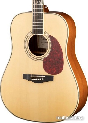 Акустическая гитара Naranda DG303NA