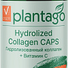 Plantago Гидролизованный + Витамин С (60капсул)