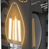 Светодиодная лампочка Gauss Filament Свеча 7W 550lm 2700К Е27 LED 1/10/50 103802107