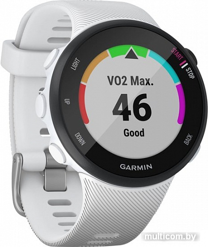 Умные часы Garmin Forerunner 45s (белый)