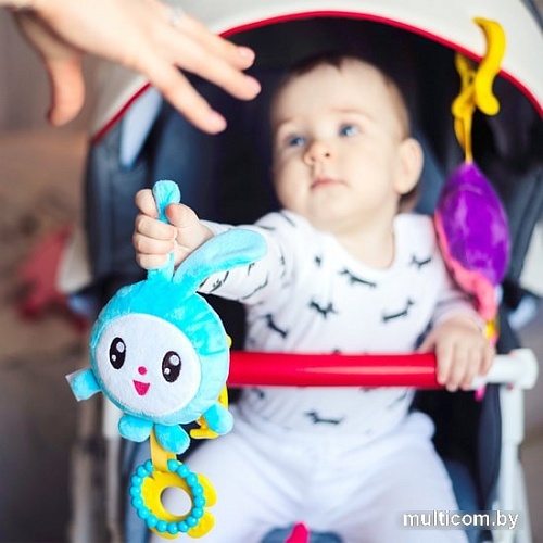 Сортер Мякиши Малышарики Подвеска Крошик 585