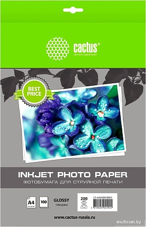Фотобумага CACTUS Глянцевая A4 200 г/м2 100 листов CS-GA4200100ED