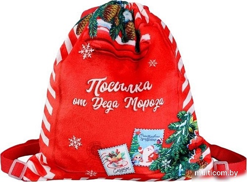 Мешок для обуви Milo Toys Посылка от Деда Мороза 9720697