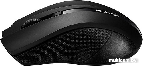 Мышь Canyon CNE-CMSW05B