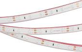 Светодиодная лента Arlight RTW-PFS-A60-11mm 034012