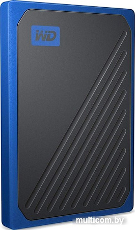 Внешний накопитель WD My Passport Go 1TB WDBMCG0010BBT