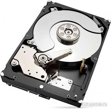 Жесткий диск Seagate Skyhawk 6TB ST6000VX0003