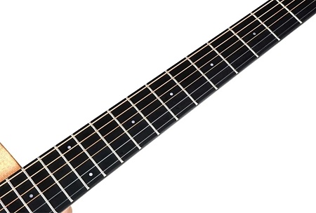 Акустическая гитара Enya EGA-X1 Pro/NA