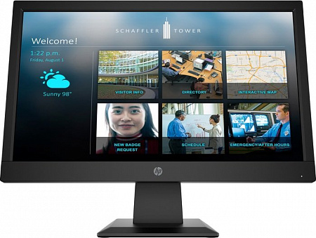 Монитор HP P19b G4