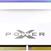 Оперативная память Silicon-Power XPower Zenith RGB 32ГБ DDR5 5600 МГц SP032GXLWU560FSH