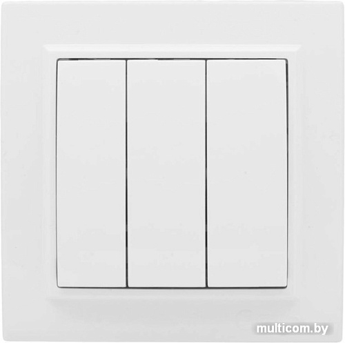 Выключатель EKF Basic Минск ERV10-024-10