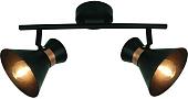 Точечный светильник Arte Lamp Baltimore A1406AP-2BK