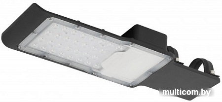 Уличный накладной светильник ЭРА SPP-503-0-30K-080