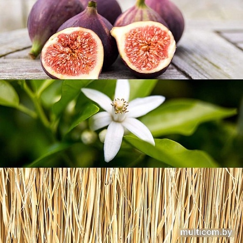 Calvin Klein One Gold EdT (50 мл)