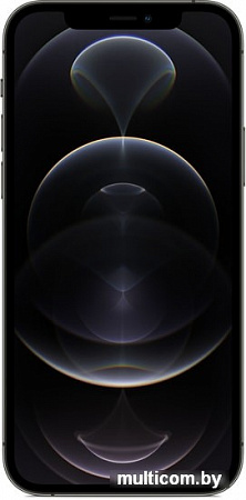 Смартфон Apple iPhone 12 Pro 128GB (графитовый)