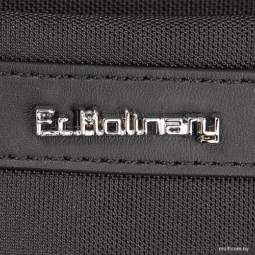 Городской рюкзак Francesco Molinary 304-CB00639-BLK (черный)