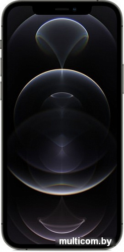 Смартфон Apple iPhone 12 Pro 128GB (графитовый)