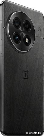 Смартфон OnePlus 13 16GB/512GB международная версия (черный)