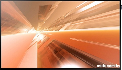 Информационная панель Samsung DM55E [LH55DMEPLGC]