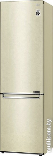 Холодильник LG DoorCooling+ GC-B509SECL