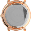 Наручные часы Timex Transcend TW2V52500