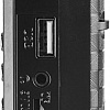 Радиоприемник Perfeo Palm i90 PF-A4870
