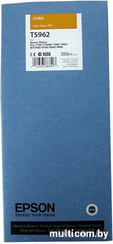 Картридж Epson C13T596200