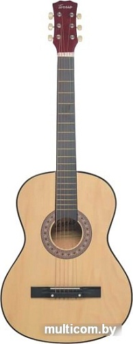Акустическая гитара Terris TF-3802A NA