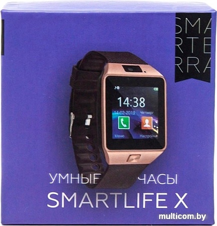 Умные часы Smarterra SmartLife X (золотистый/коричневый)