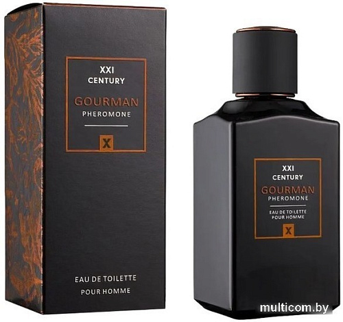 Туалетная вода Gourman №Х For Men EdT (100 мл)