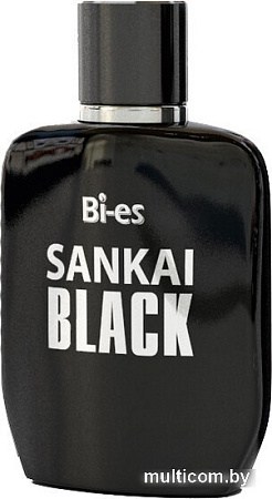 Туалетная вода BI-ES Sankai Black EdT (100 мл)