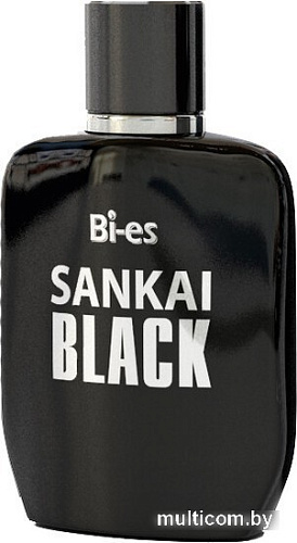 Туалетная вода BI-ES Sankai Black EdT (100 мл)
