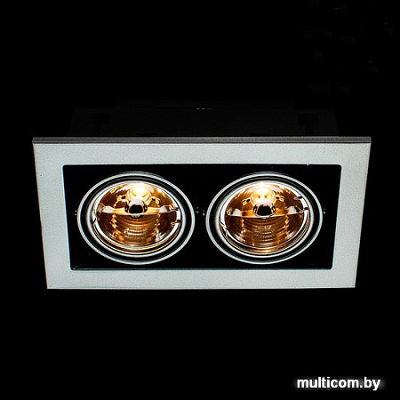 Точечный светильник Arte Lamp Cardani A5930PL-2SI