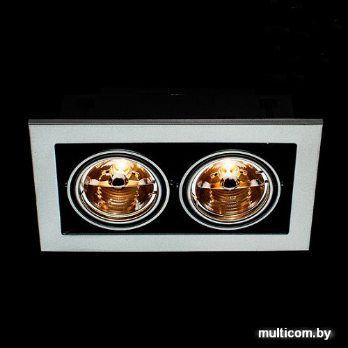 Точечный светильник Arte Lamp Cardani A5930PL-2SI