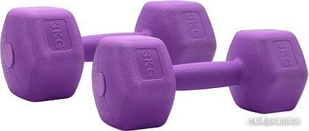 Набор гантелей SportElite H-203 2x3 кг (фиолетовый)