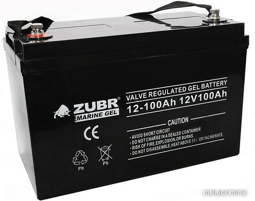 Лодочный аккумулятор Zubr Marine Gel (100 А·ч)