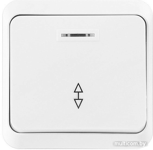 Выключатель проходной Smart Buy SBE-03w-10-SW12-1