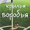 Книга издательства АМФОРА Крылья воробья, мягкая обложка (Бримсон Дуги)