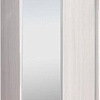 Шкаф-купе Рэйгрупп 120 YYX Elgon РГ-12.02 (ясень снежный/хром)