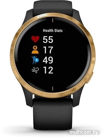 Умные часы Garmin Venu (черный/золотистый)