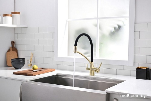 Смеситель Paulmark Siegen Si213111-BR (бронза/черный)