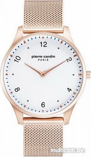 Наручные часы Pierre Cardin PC902711F203