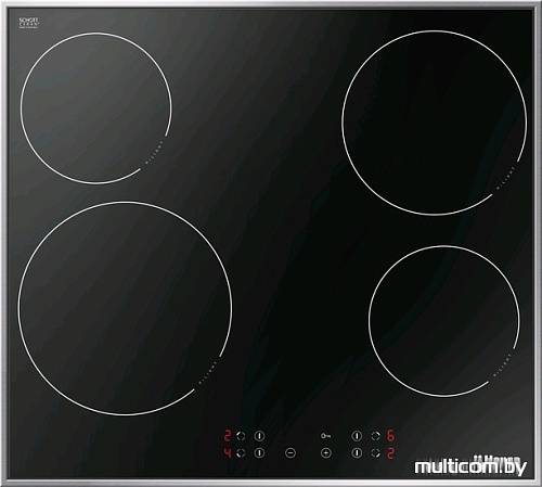 Варочная панель Hansa BHCI66306