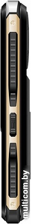 Мобильный телефон Digma Linx R240 (черный)