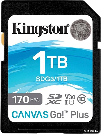 Kingston Canvas Go! Plus SDXC 1TB